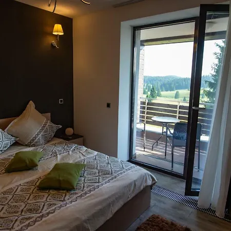 Silver Mountain Ap.g17 * Brasov